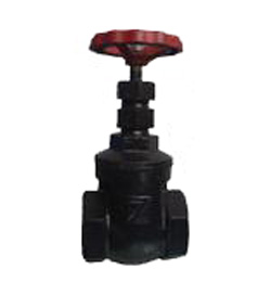 Z15T-10���ݼy�l�y